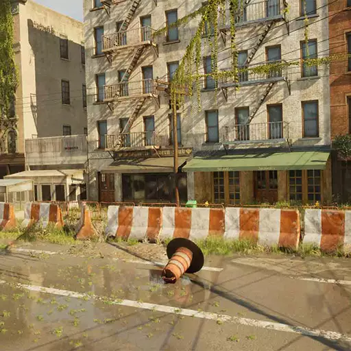 City Environment