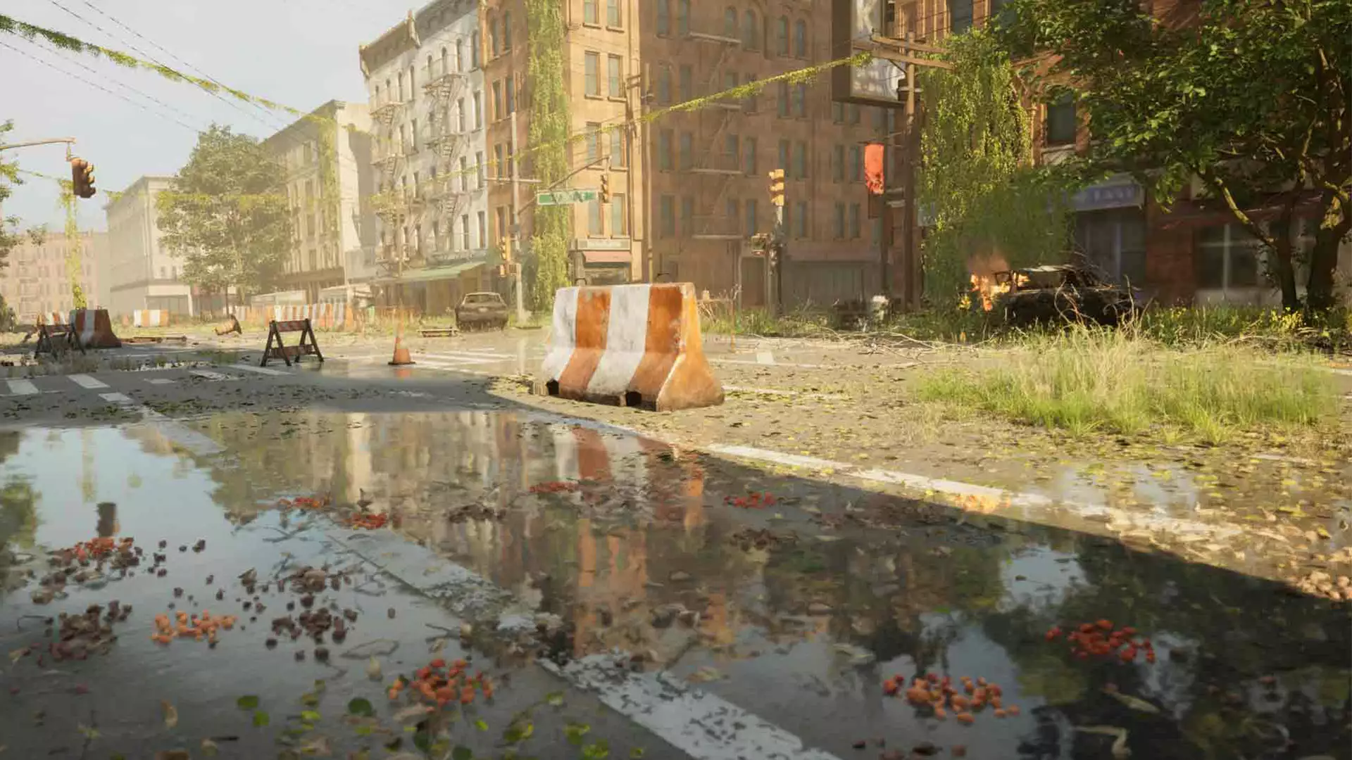 City Environment